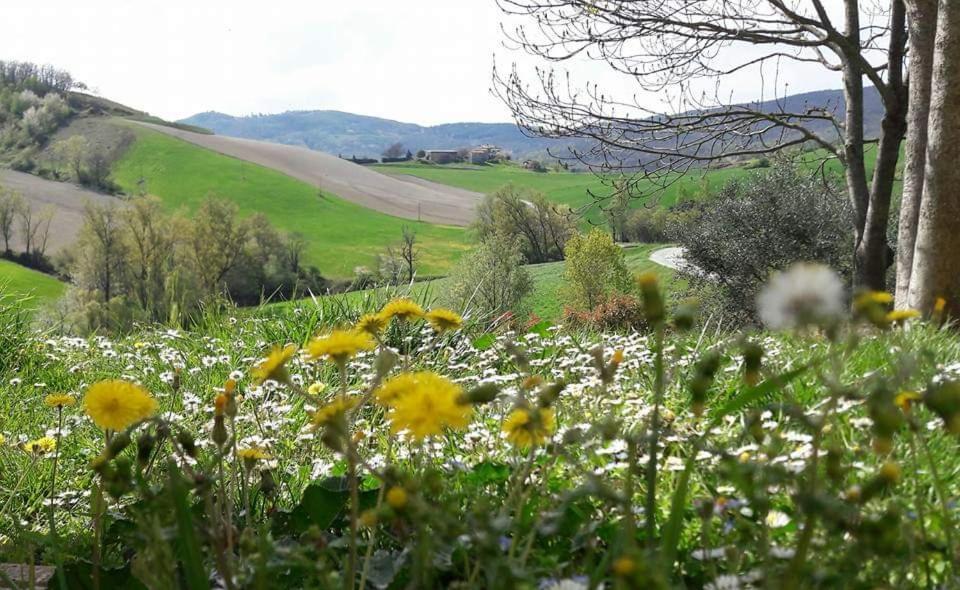 Agriturismo Il Colore Del Grano San Vittore  Exterior foto